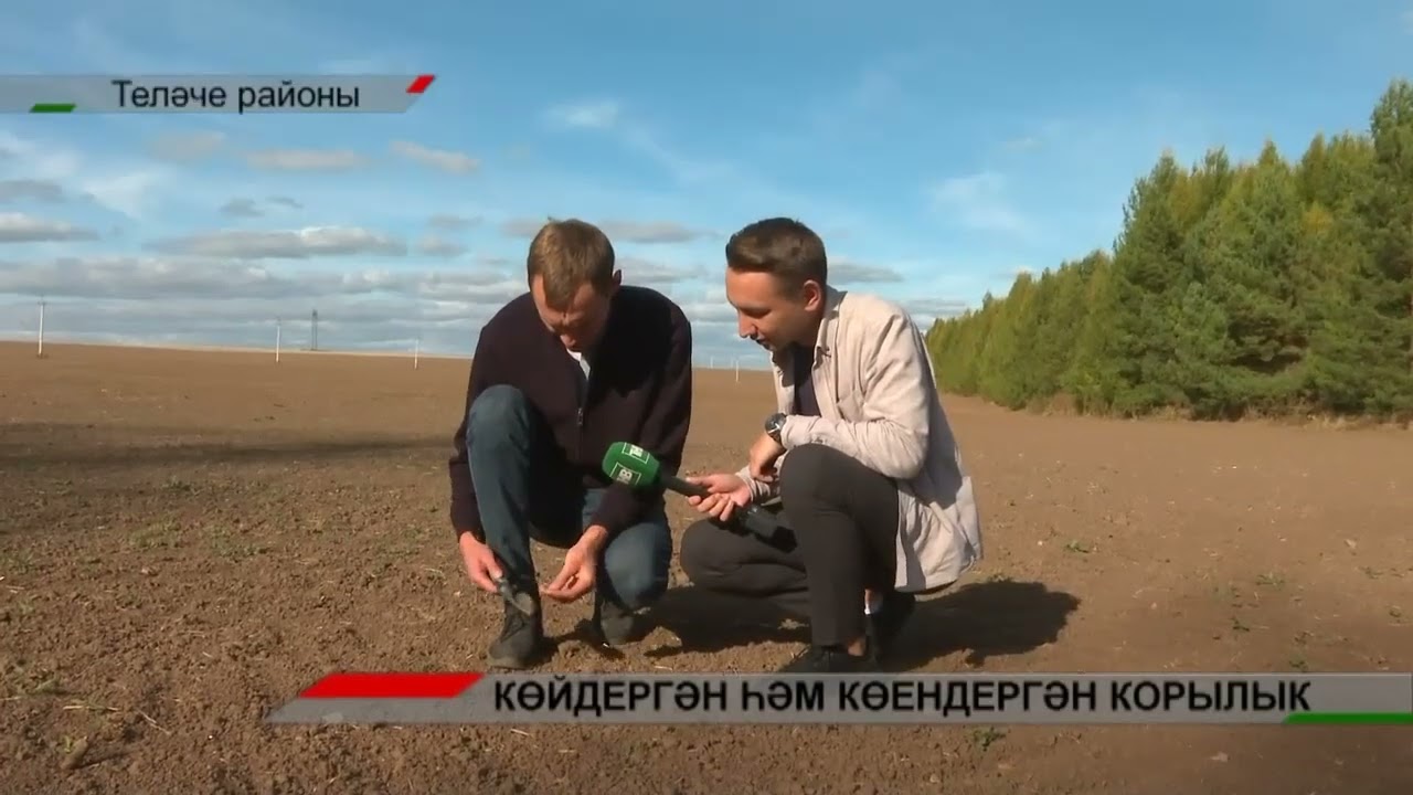Коры җиргә салган орлык - җилгә очкан акча