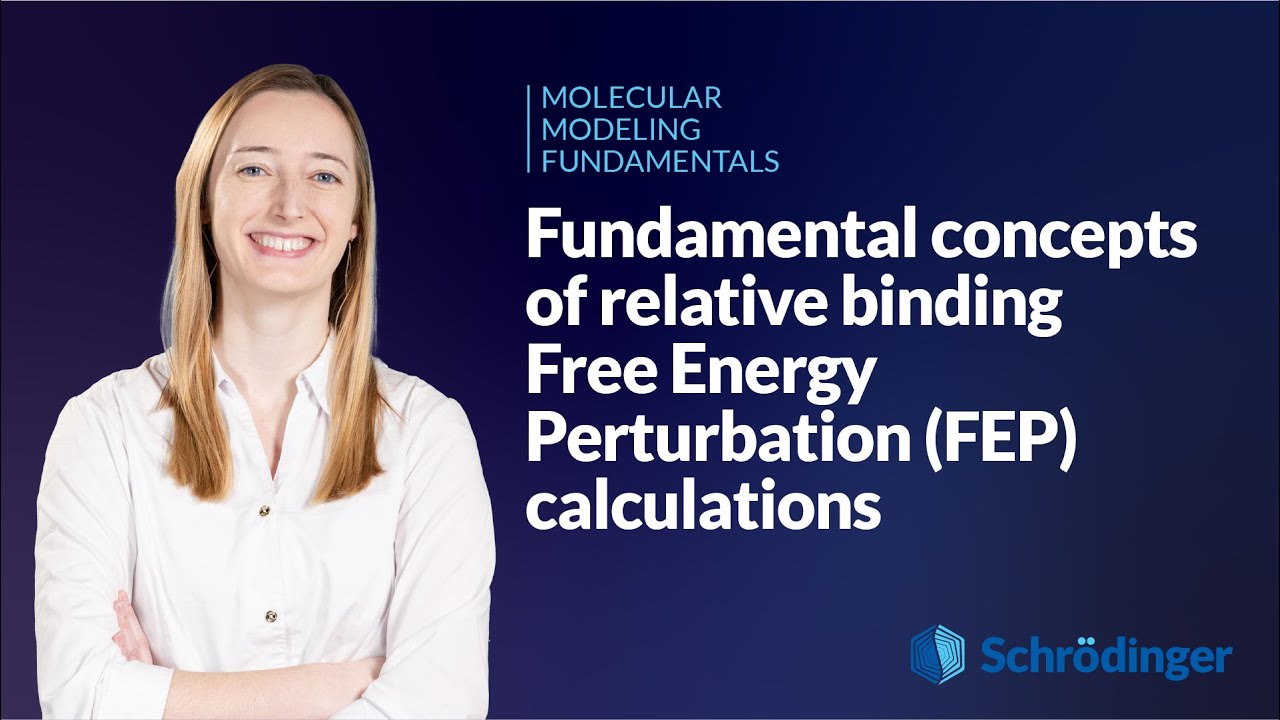 Фундаментальные концепции относительного связывания. Расчеты возмущений свободной энергии (ВСЭ)