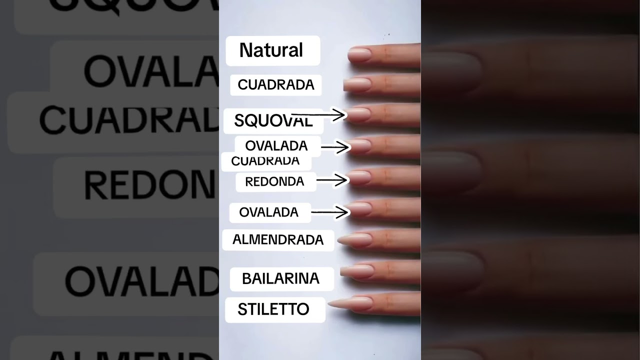 Tipos de u&ntilde;as 💅🏻😍 #nails #u&ntilde;asnaturales #u&ntilde;astutorial #belleza #manicure