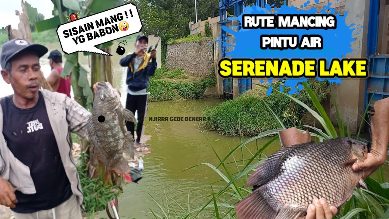 Rute Mancing Sungai Cisadane || Spot pintu air SERENADE LAKE serpong