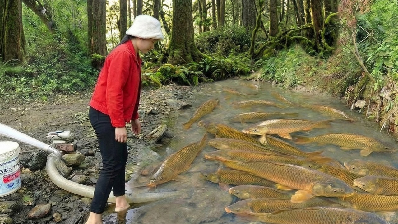 TIMELAPSE -- Harvesting 9999 + Giant Carp, Goes To Market Sell | LIFE ON THE FARM