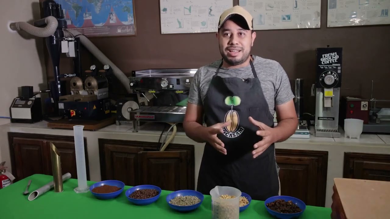 Cuando la cosecha hondureña se convierte en empleo, y el campo en oportunidades