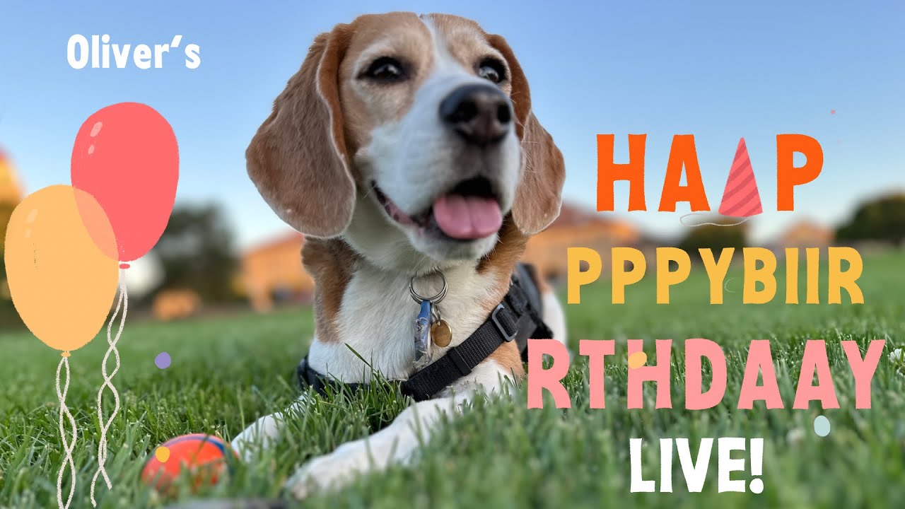 ⭐️ Oliver's 2024 birthday livestream! ⭐️
