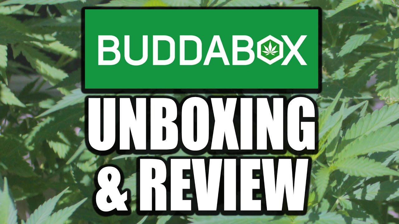 Buddabox Unboxing and Review | Cannabis Lifestyle TV