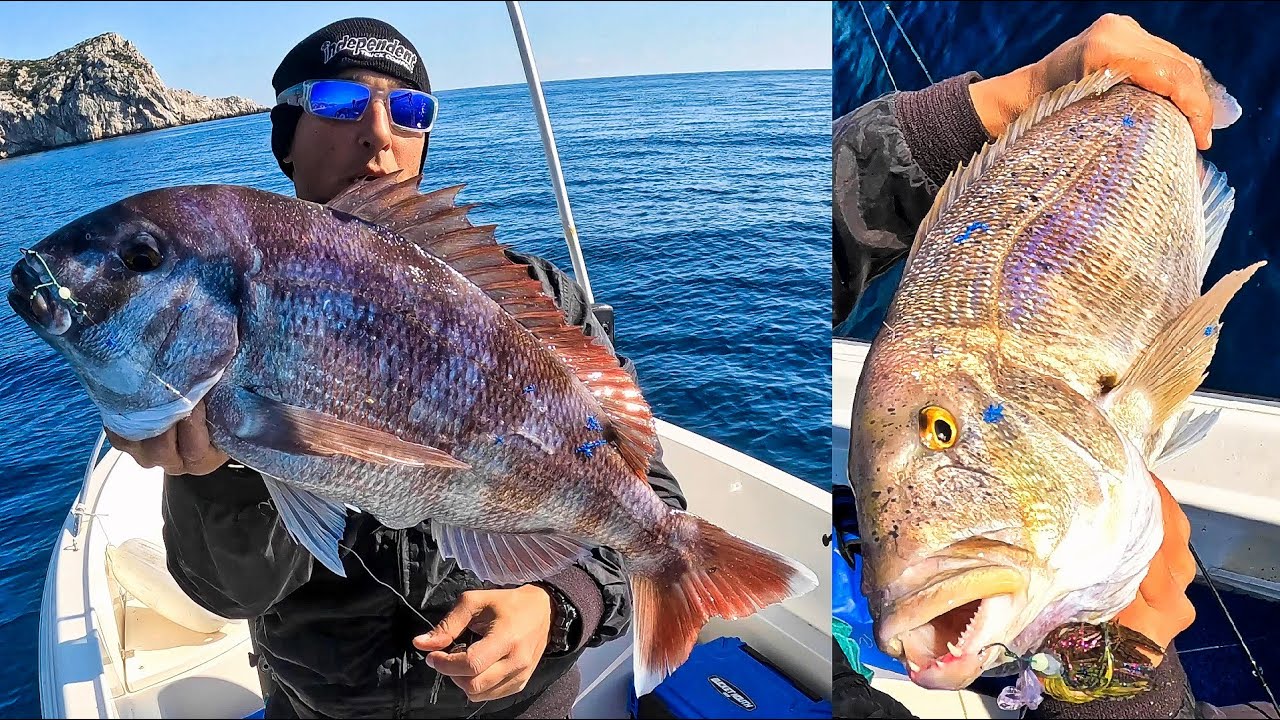 Δύο συναρπαστικές μάχες στο Tai Rubber [TWO EXCITING FIGHTS ON #tairubber , #fishing , #archipelago]