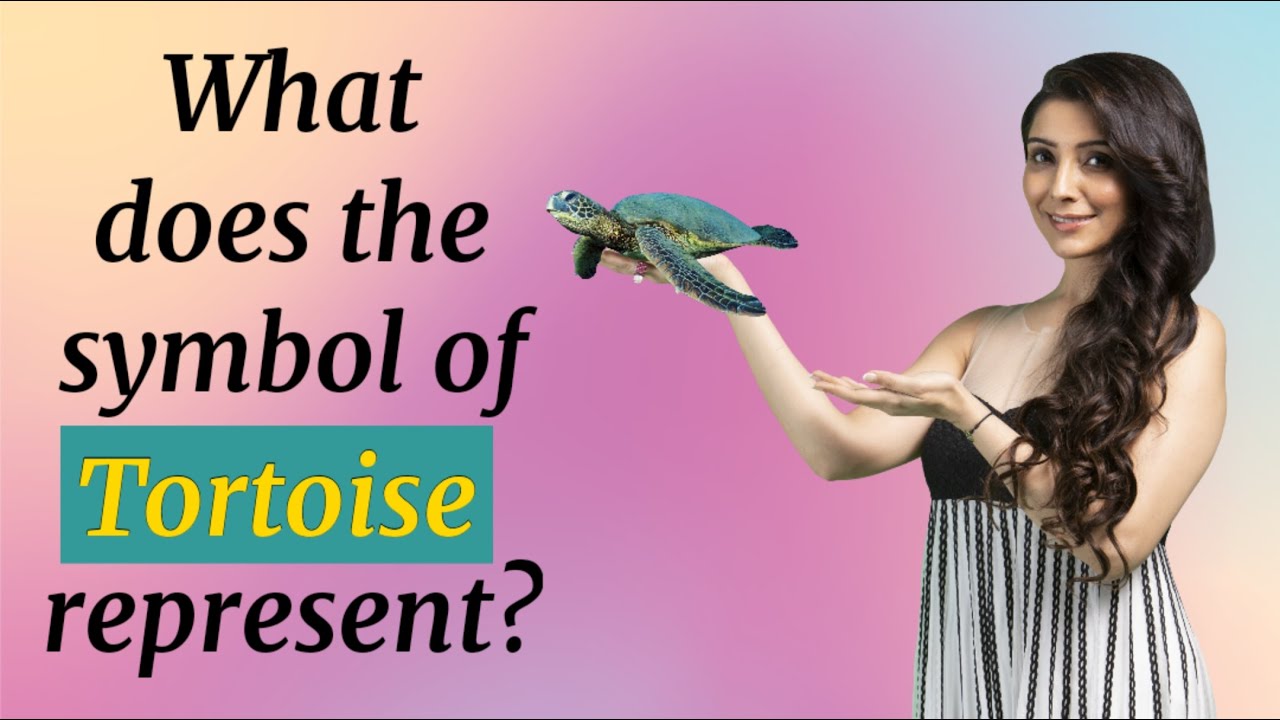 What does the symbol of Tortoise represent | Significance of Symbols | Dr. Jai Madaan