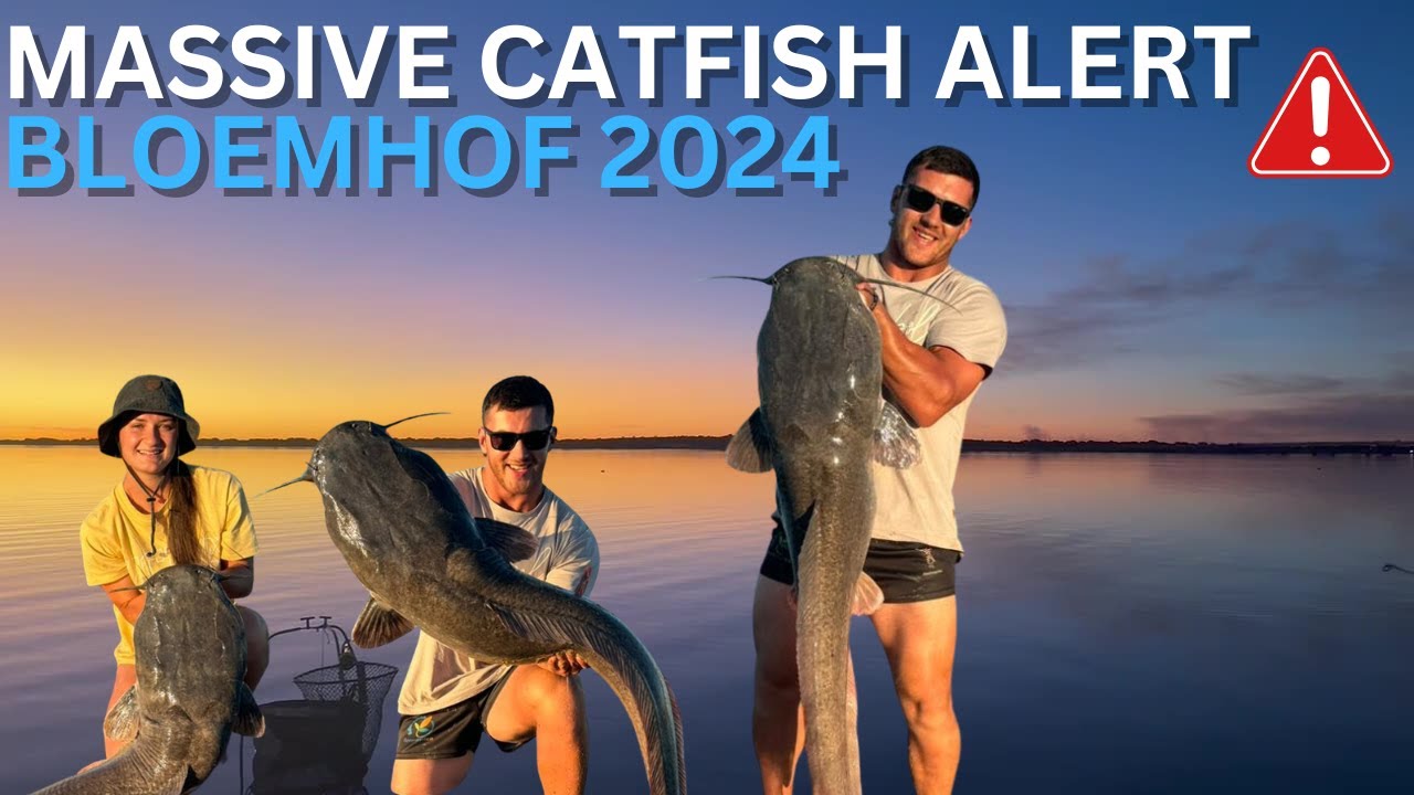 Massive Catfish / Barbers Fishing Session South Africa Feshwater
