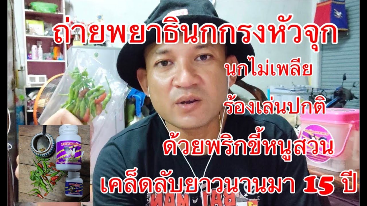 วิธีถ่ายพยาธิให้นกกรงหัวจุก ด้วยพริกขี้หนูสวน นกไม่เพลีย ร้องปกติ นกสด100% น้ำผึ้ง ผงสมุนไพรยอดนักรบ