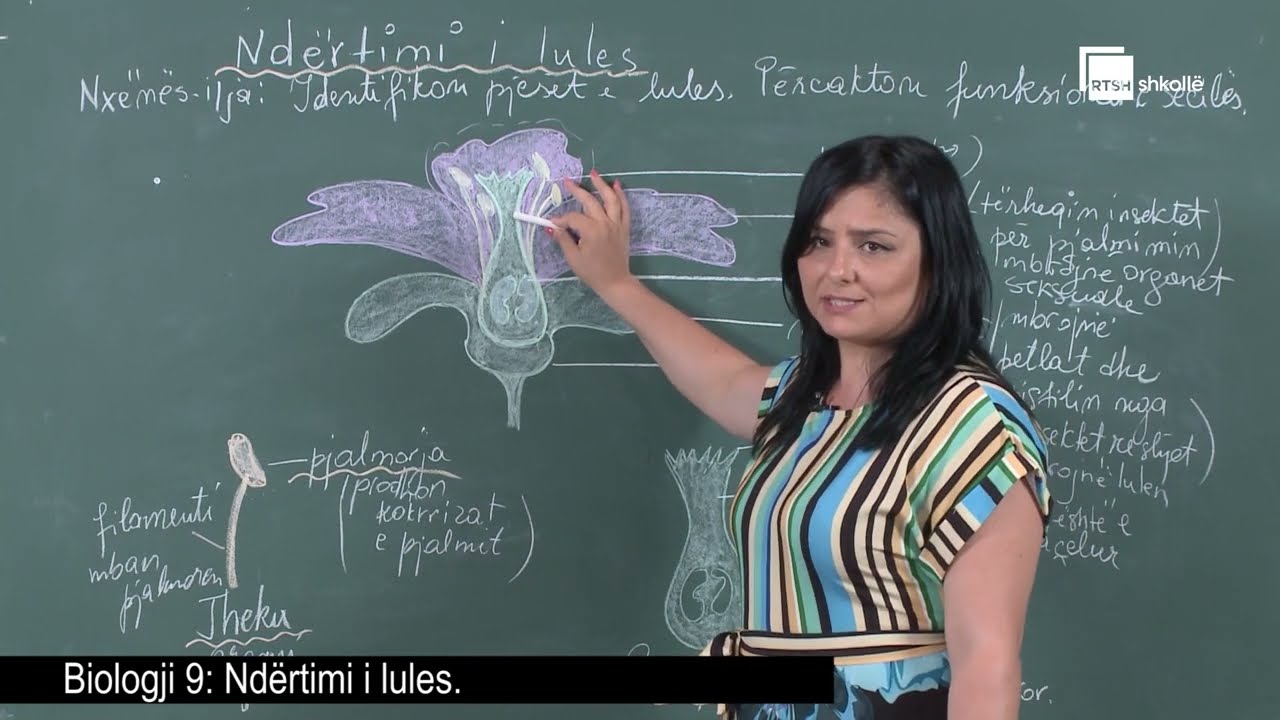Ndërtimi i lules |Biologji 9