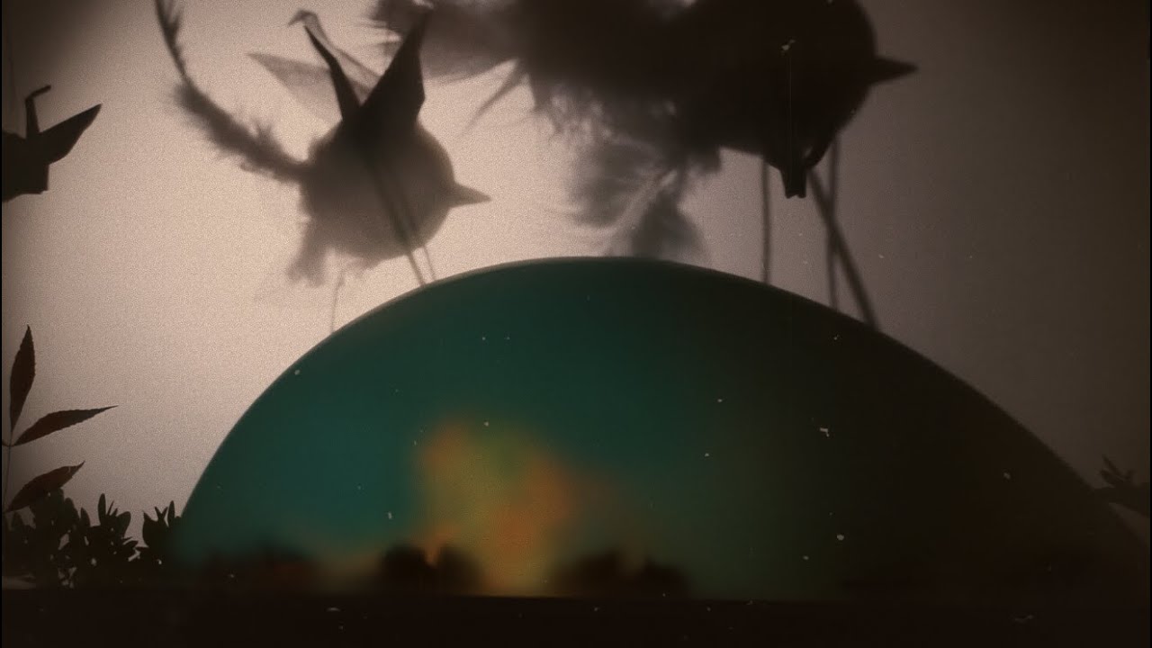 A Bird`s Story - Robert Gromotka (Official Shadow Play Version)
