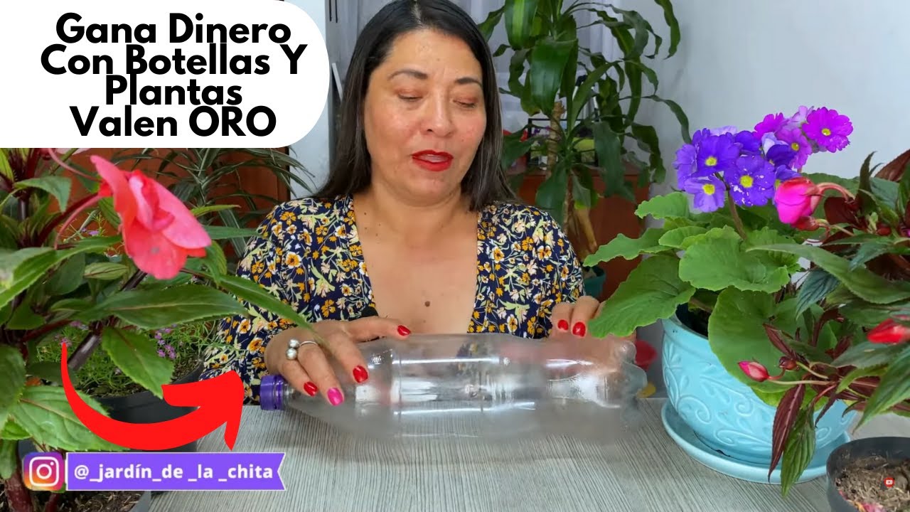 Gana dinero con botellas plasticas y plantas, no te arrepentiras!!