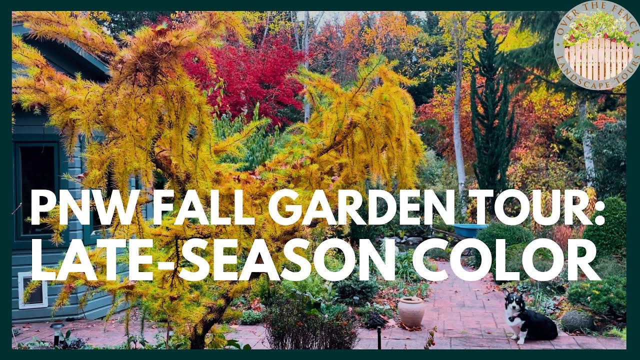 PNW Fall Garden Tour: Late-Season Color in Marietta & Ernie O’Byrne’s Legendary Garden.