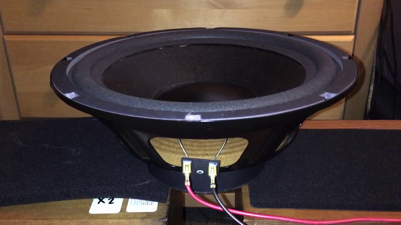 Paradigm 10 Inch Subwoofer Driver Test! (From model: PDR10 (1st version)).