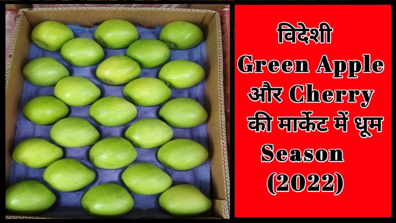 Green Apple Market | Imported Apple Market | Himalayan Farming | Apple Market Update