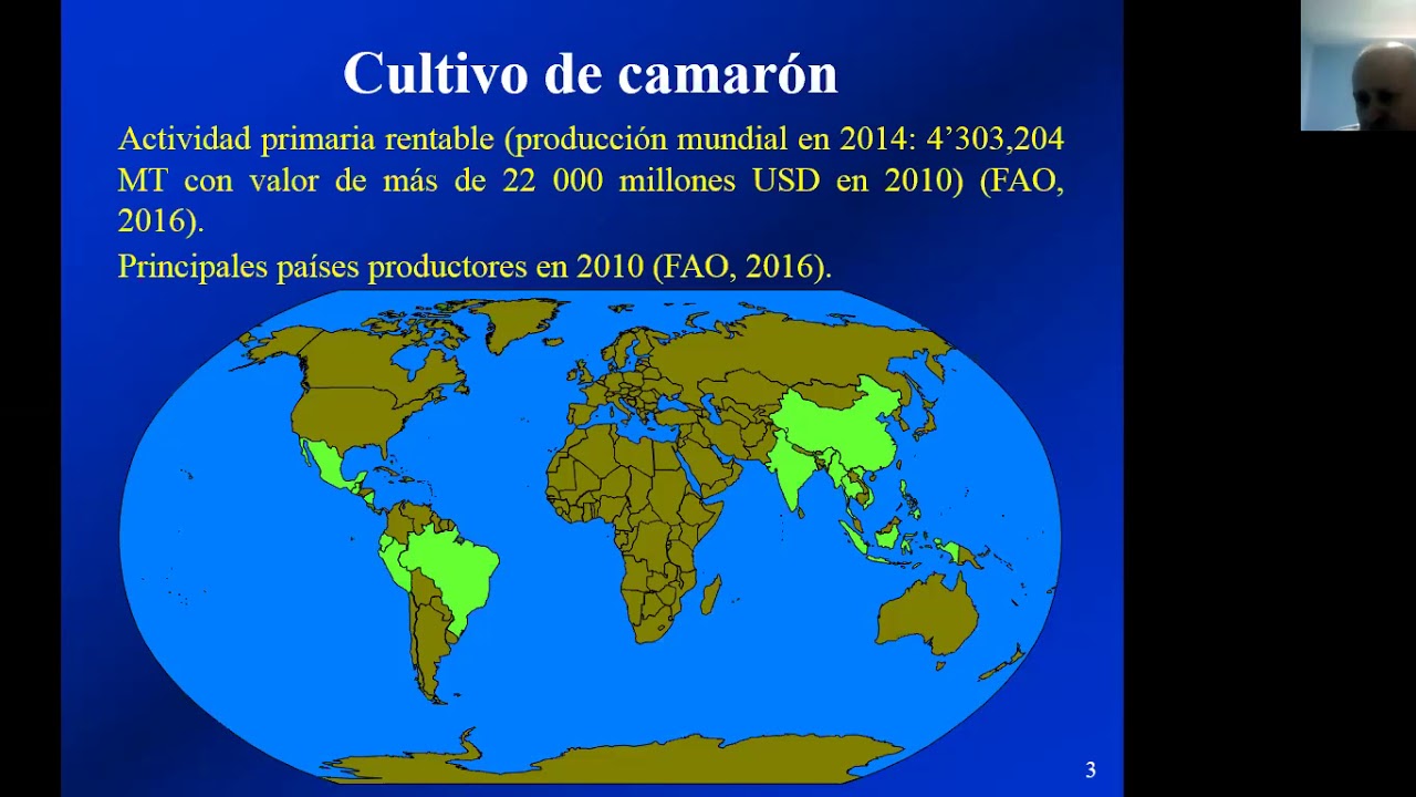 Virología en Camaronicultura Dr  César Escobedo Bonilla
