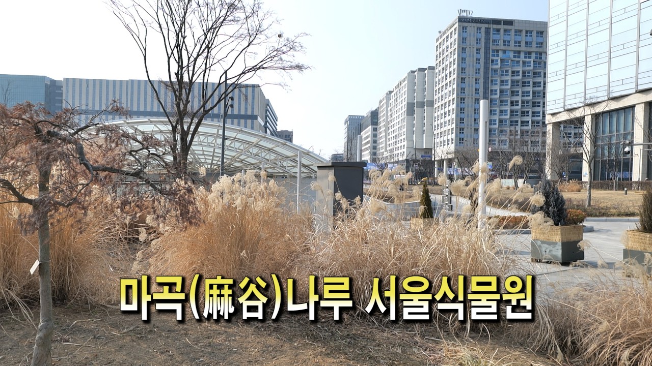 마곡(麻谷)나루 서울식물원(Seoul Botanic garden)