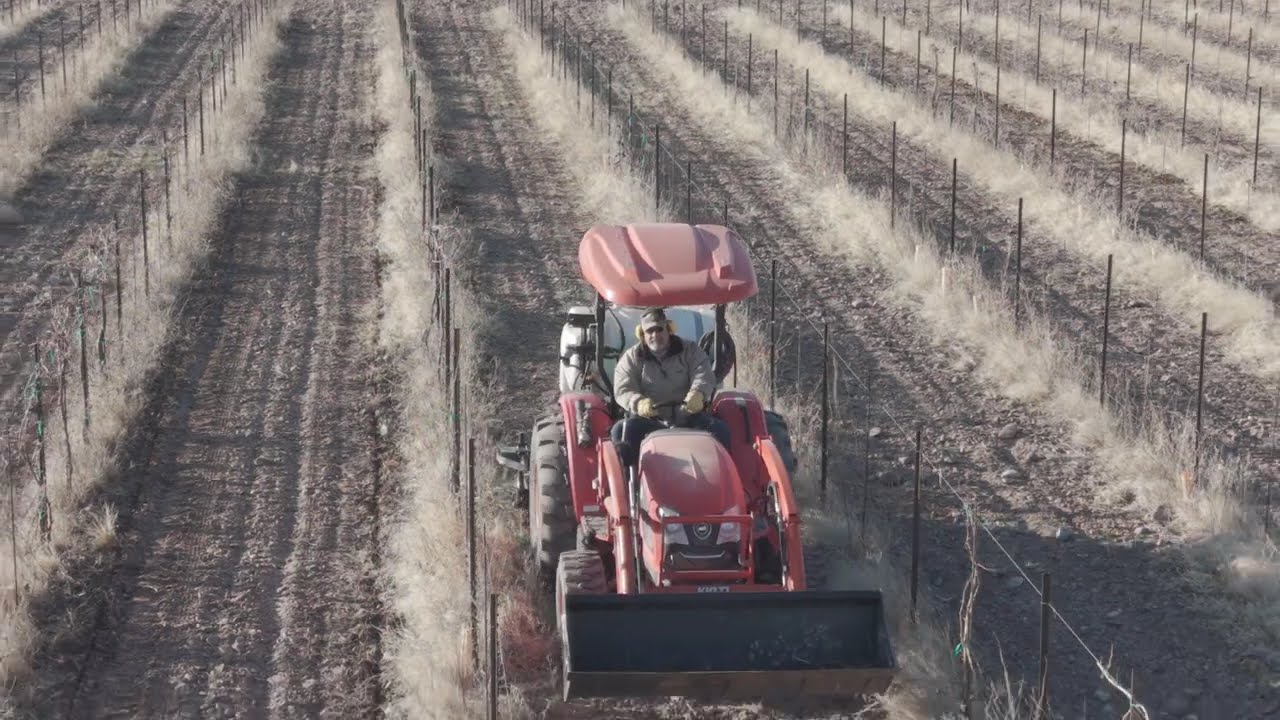 Bill driving the narrow rows at the vineyard. 