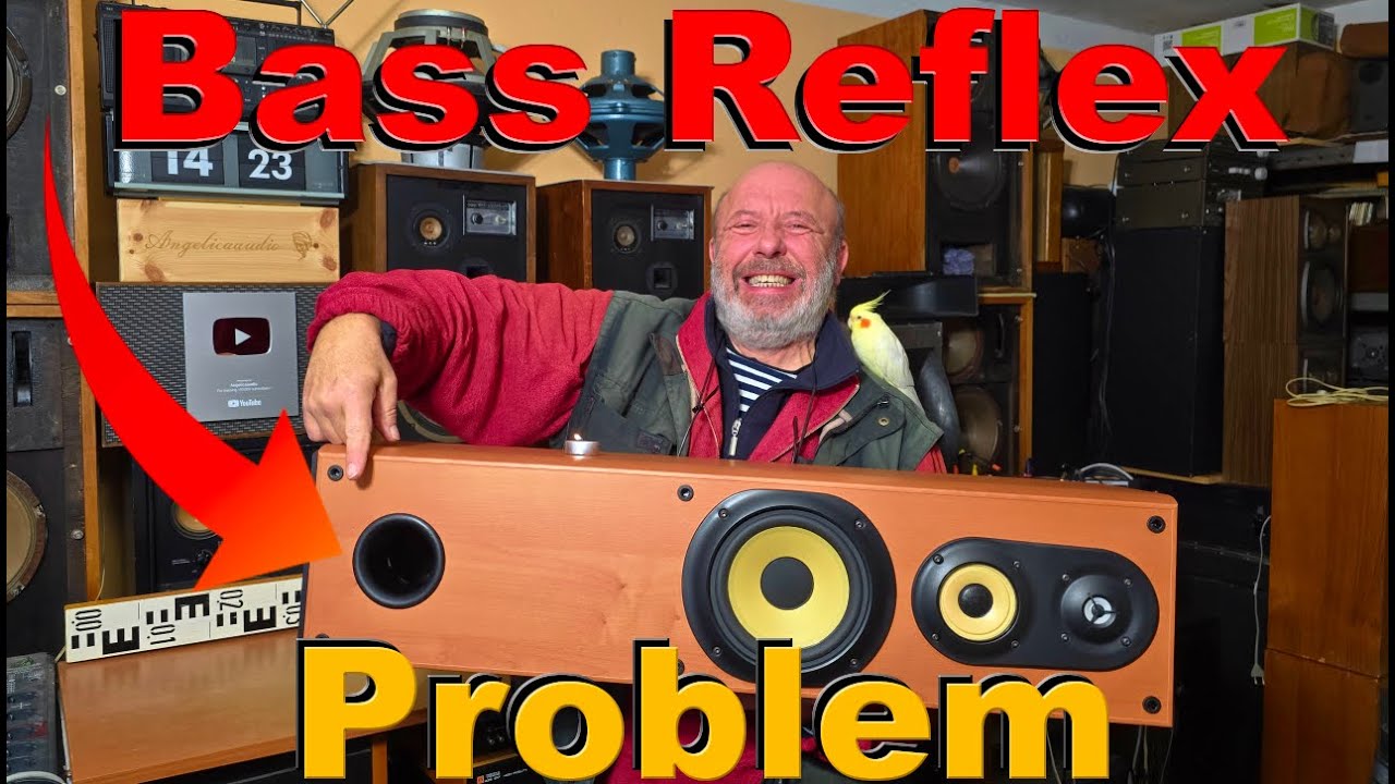 What is the biggest problem with Bass Reflex PORTED SPEAKERS?
