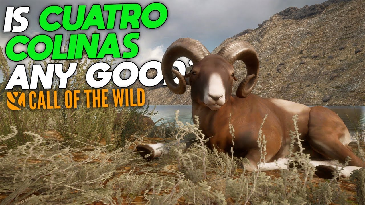 Is Cuatro Colinas Even Worth It? | theHunter: Call Of The Wild