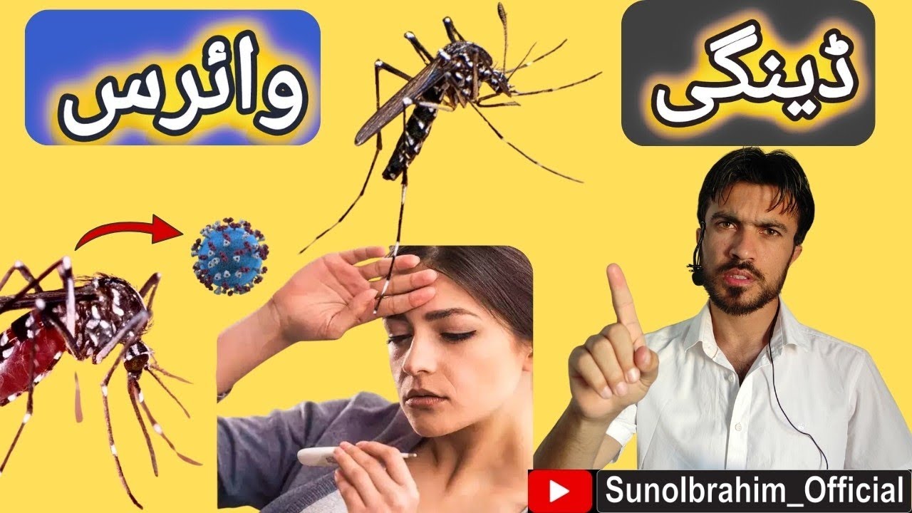 Dengue Virus: From Bite to Fever