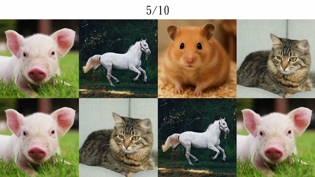 動物挑戰 - 動物