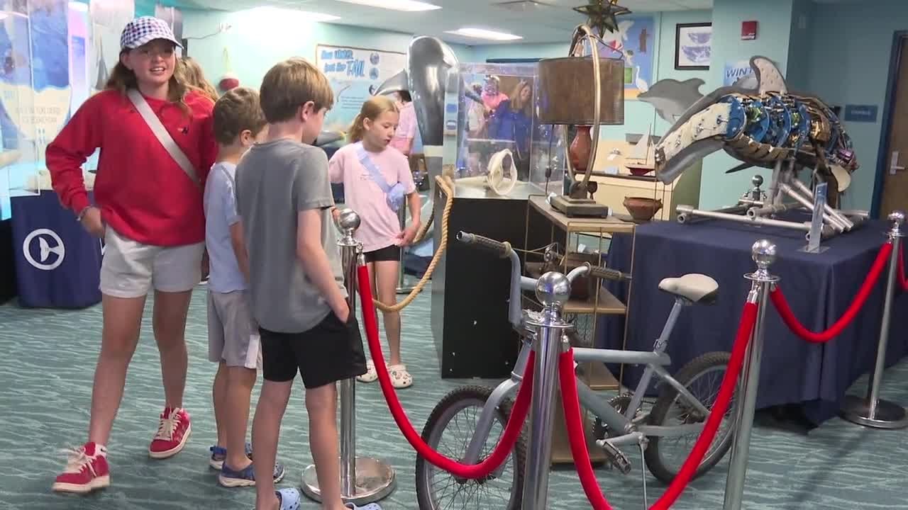 Winter the Dolphin celebrated with new exhibit at Clearwater Marine Aquarium