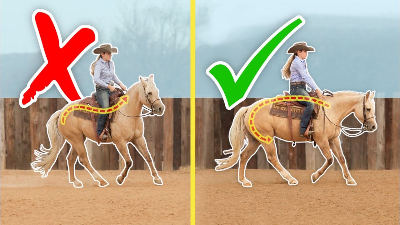 Ride your horse Back-to-Front: (The REAL way to achieve COLLECTION)