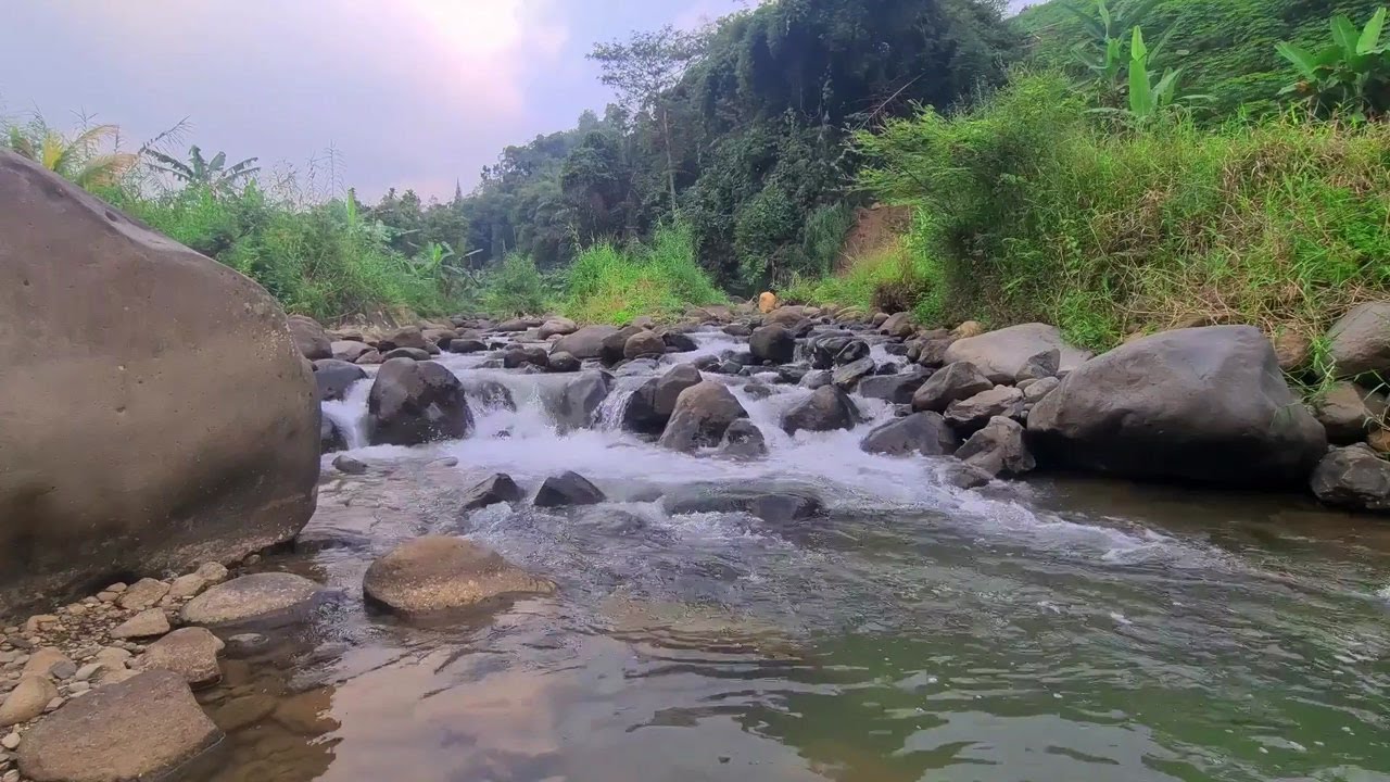 River Ambience | Peaceful Nature Sound to Help You Sleep and Relax