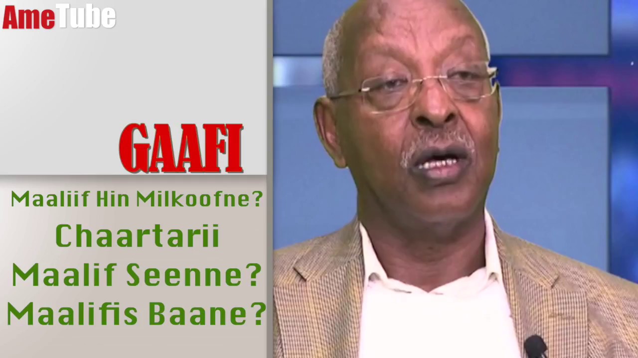 Maaliif hin milkoofne? Chaartarii maalif seenne, maalifis baane?