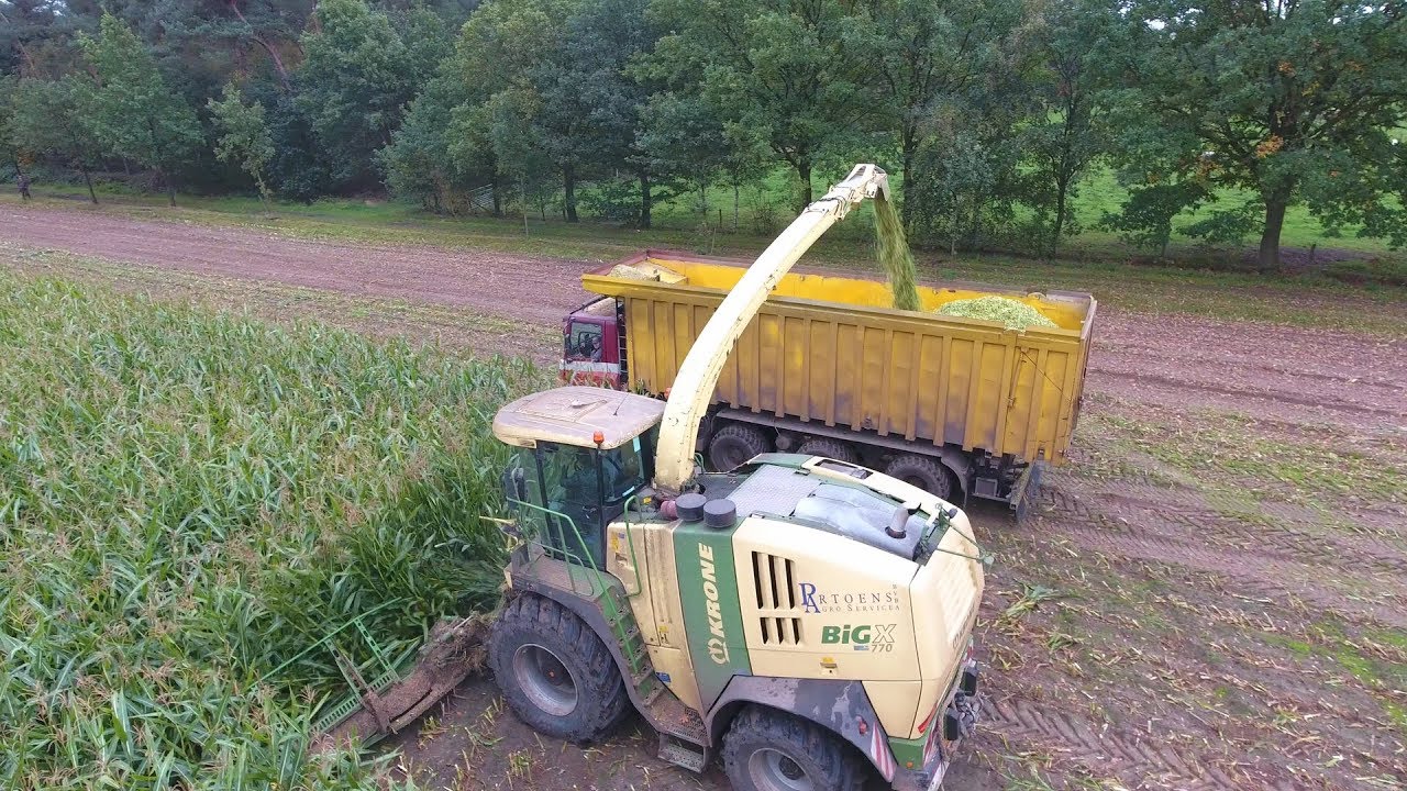 KRONE BIG X 12-rijer XXL  | maishakselen | Maishäckseln |  Harvesting mais