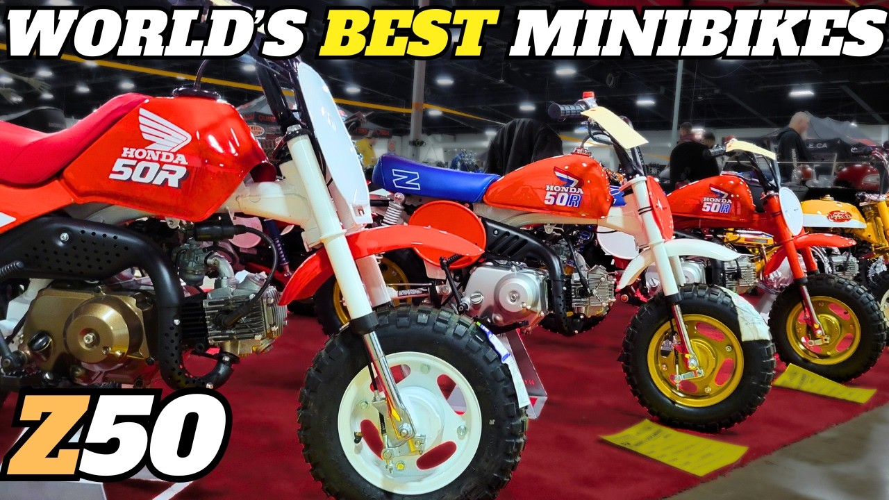 Honda Z50 Minibikes: Restoring Legends with Dennis of HONDA MINI