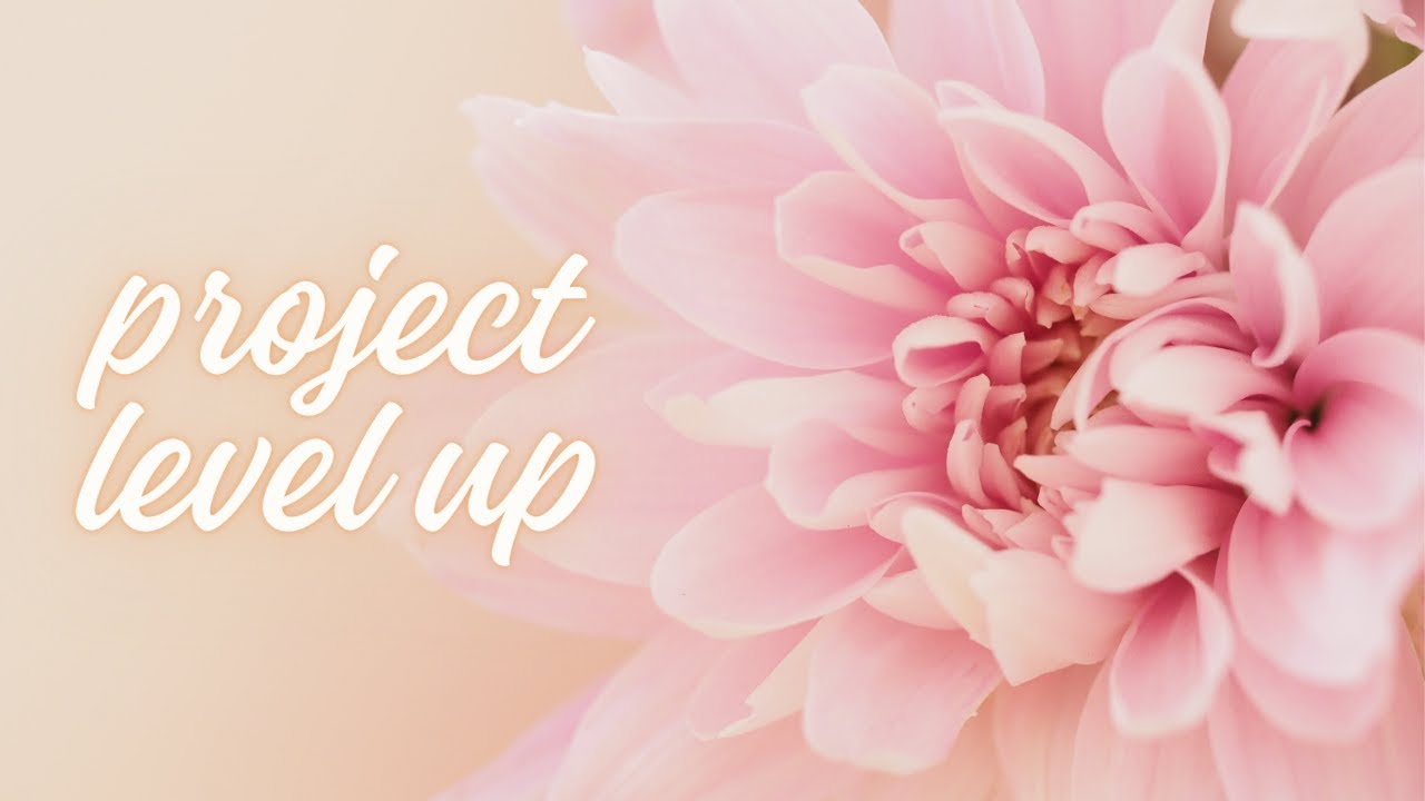 2024 | project level up, chapter two | intro