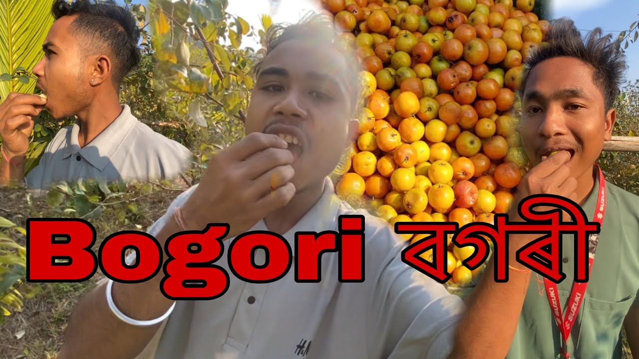 Bogori বগৰী || Tinkul Raj 