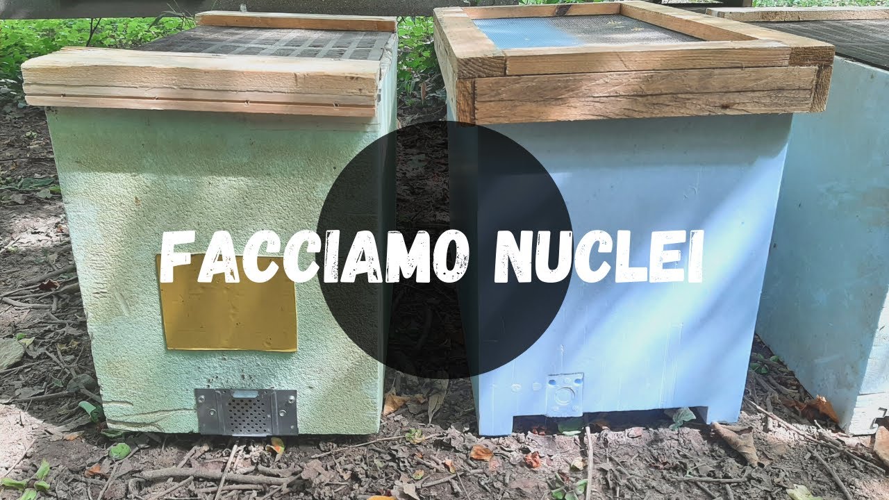 APICOLTURA: facciamo nuclei