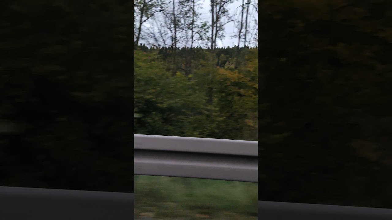 Ich vergesse alles ✌️✌️🙄🙄(Pferdefan 13)