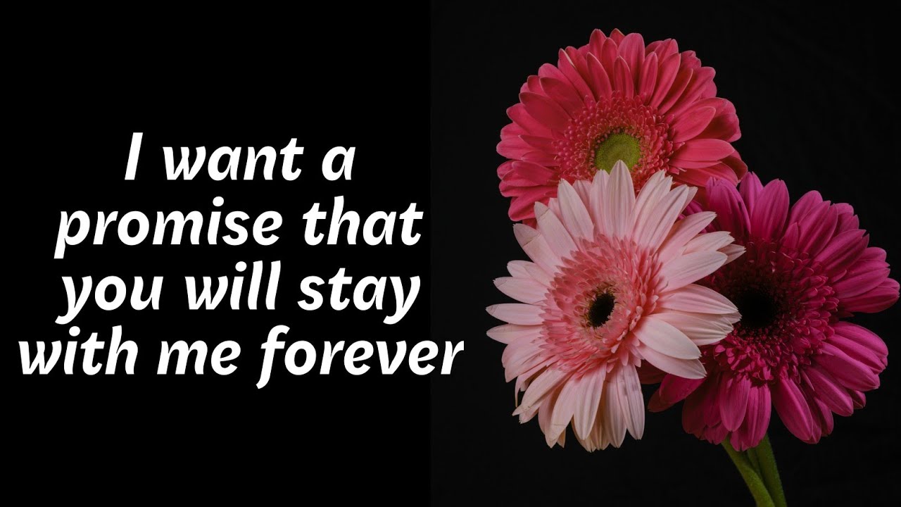 When I see you, I forget about the whole world, Romantic Love Poem, I Love You