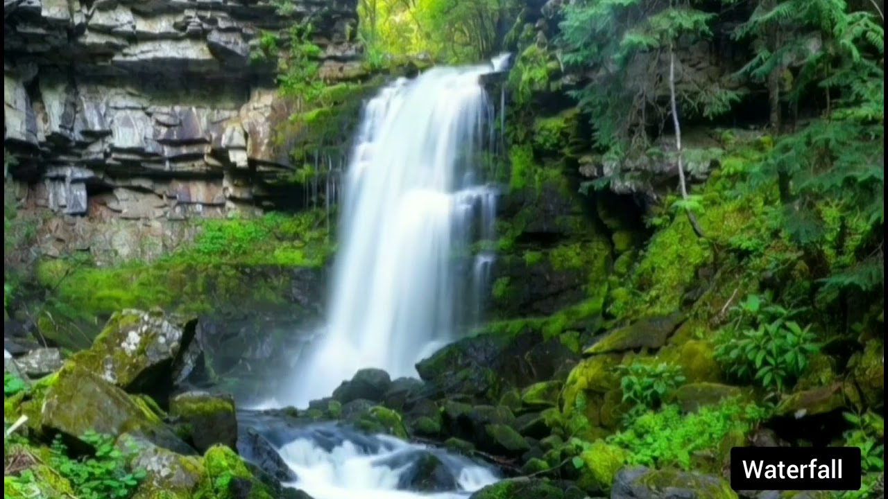 Episode 24: Best waterfall_ Relaxing sound for sleep soothing full 2 hour 💤😴