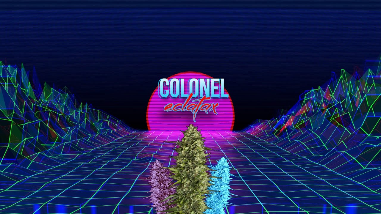 Colonel Eclatax ( Version Intense )