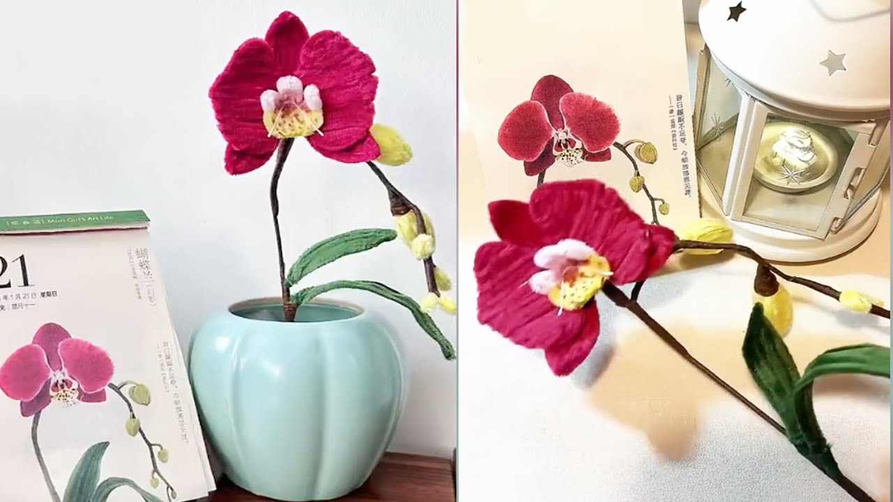 モールで作るコチョウラン：幸福が飛んでくる美しい蘭の作り方