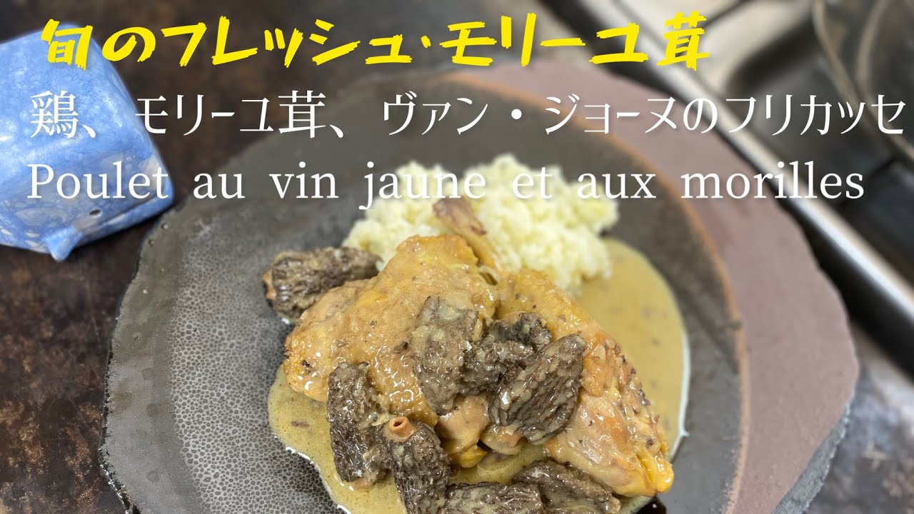 Fricassée de poulet et morilles au Vin jaune/ Fricassee of chicken and morels/旬のフレッシュモリーユ茸と鶏のフリカッセ