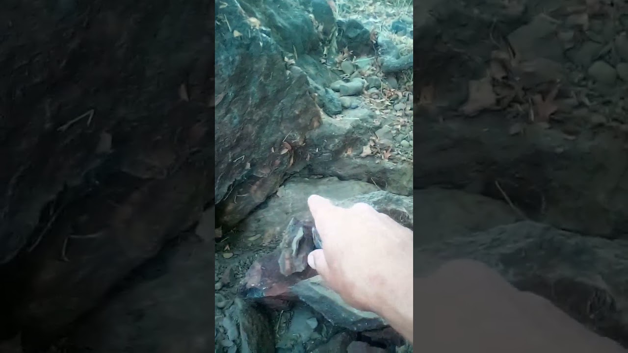 Bedrock crevice awesome gold #gold #bedrock #crevicing #prospecting #panning #nuggets