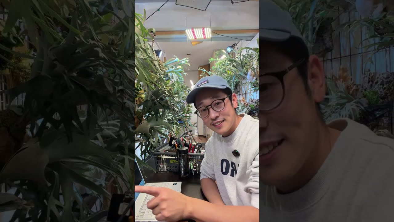 2/24（火）夜 LIVE後半、育成相談🌿