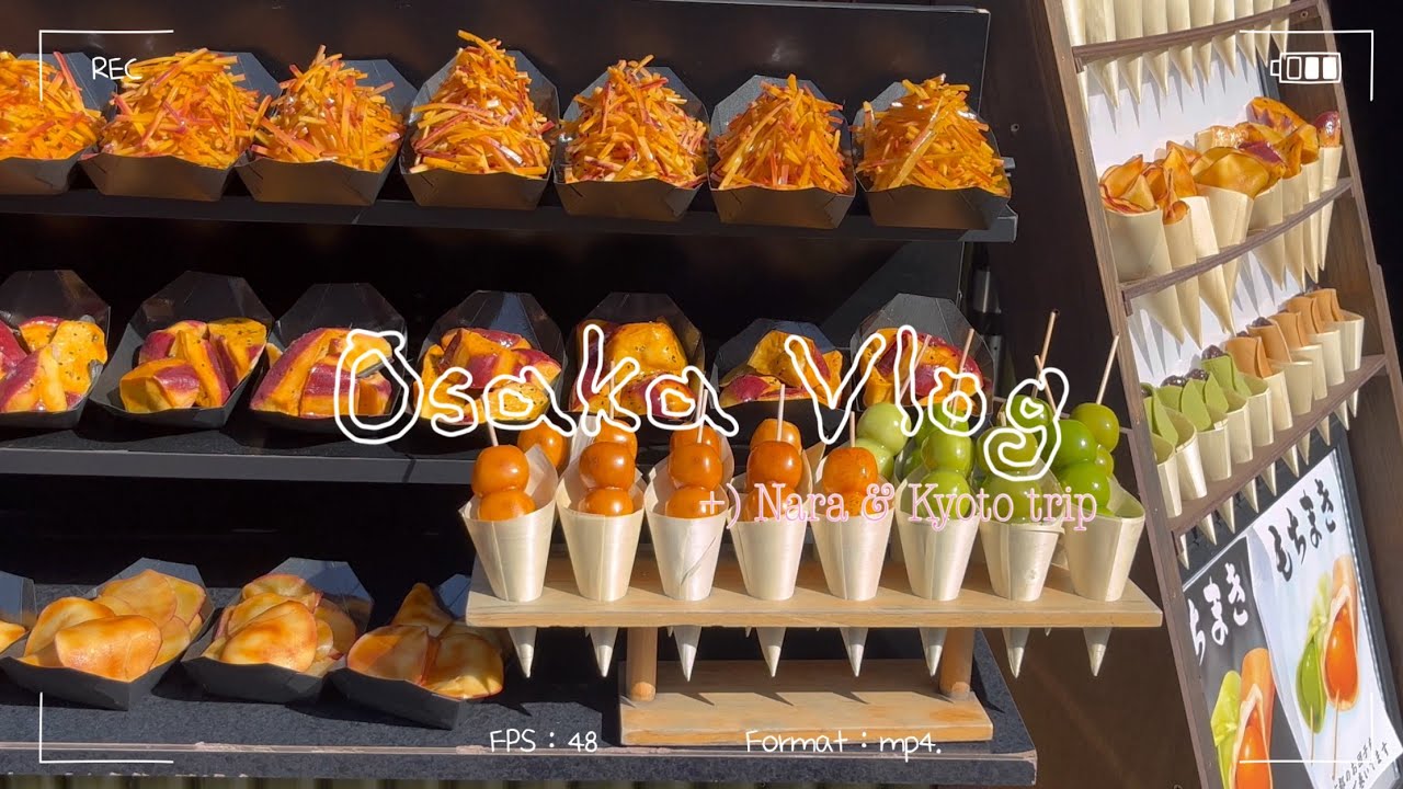 오사카 여행 3박 4일 :: 🐙🍡⛩️ 나라도 가고 교토도 가고 간사이 찍먹 여행 | 타코야끼 말고 아카시야끼라고 드셔보셨어요?