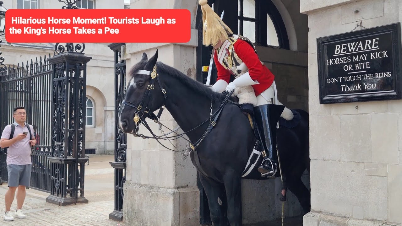 HILARIOUS! Tourists Laugh as the King's Horse Takes a Pee, with an Unexpected Move from the Guard!