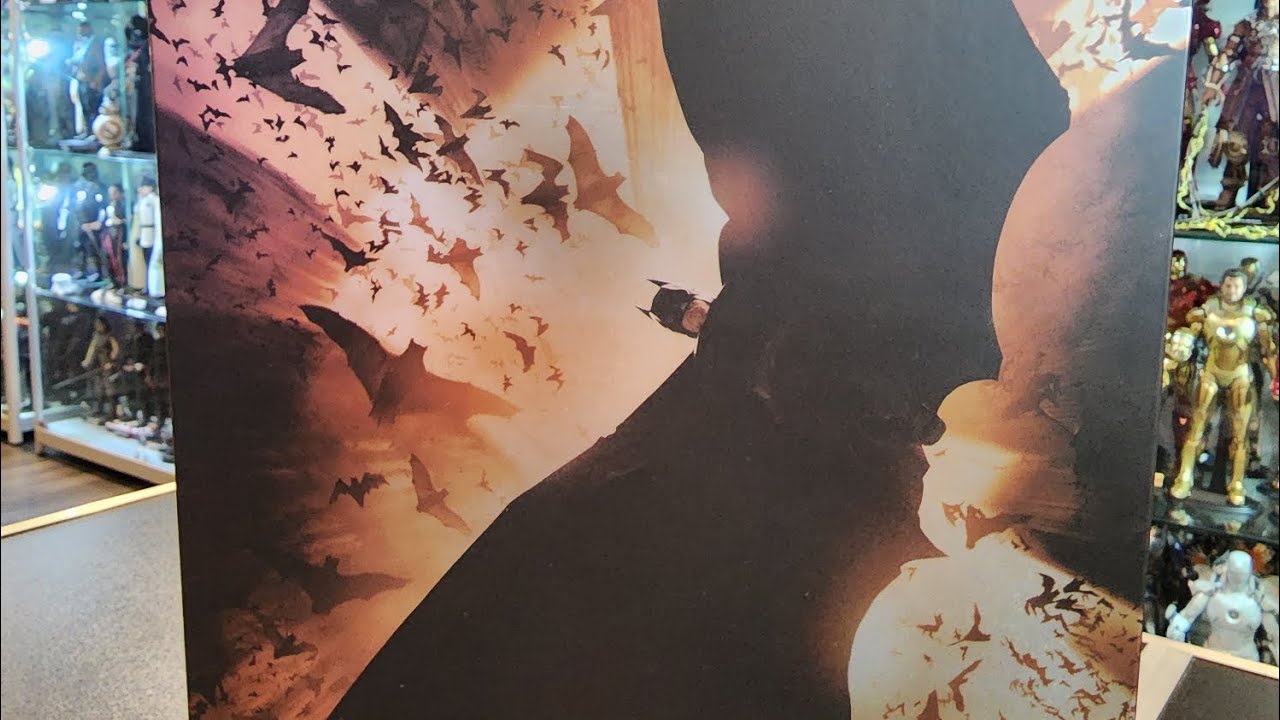 My comparison of the Hot Toys Batman Begins figures