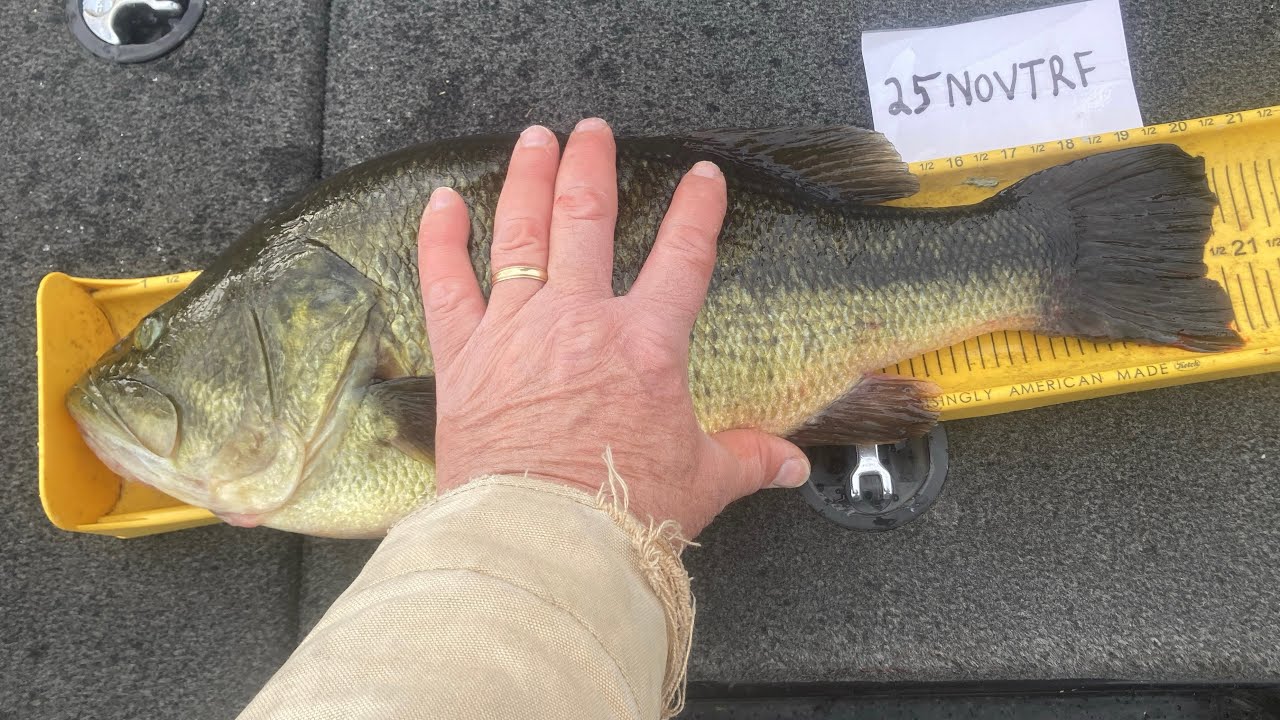 What did you catch that on???  Pony Head Jig options 