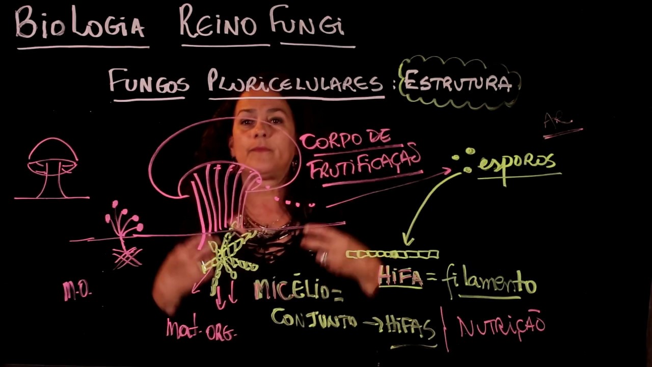 Aula 44 REINO FUNGI - Aulas ENEM