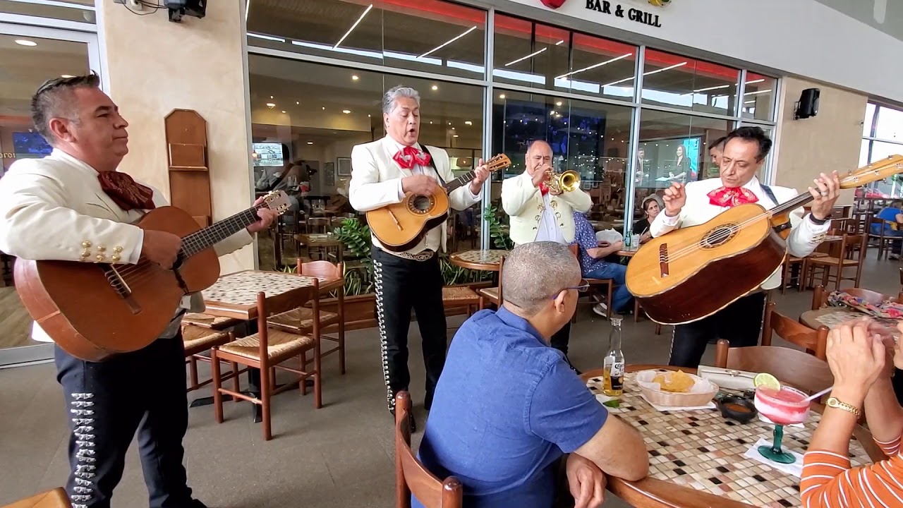 Bésame mucho con Mariachi los Camperos de Puerto Rico