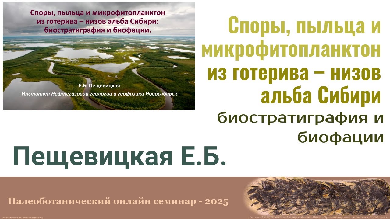 Пещевицкая Е.Б. - Споры, пыльца и микрофитопланктон из готерива – низов альба Сибири