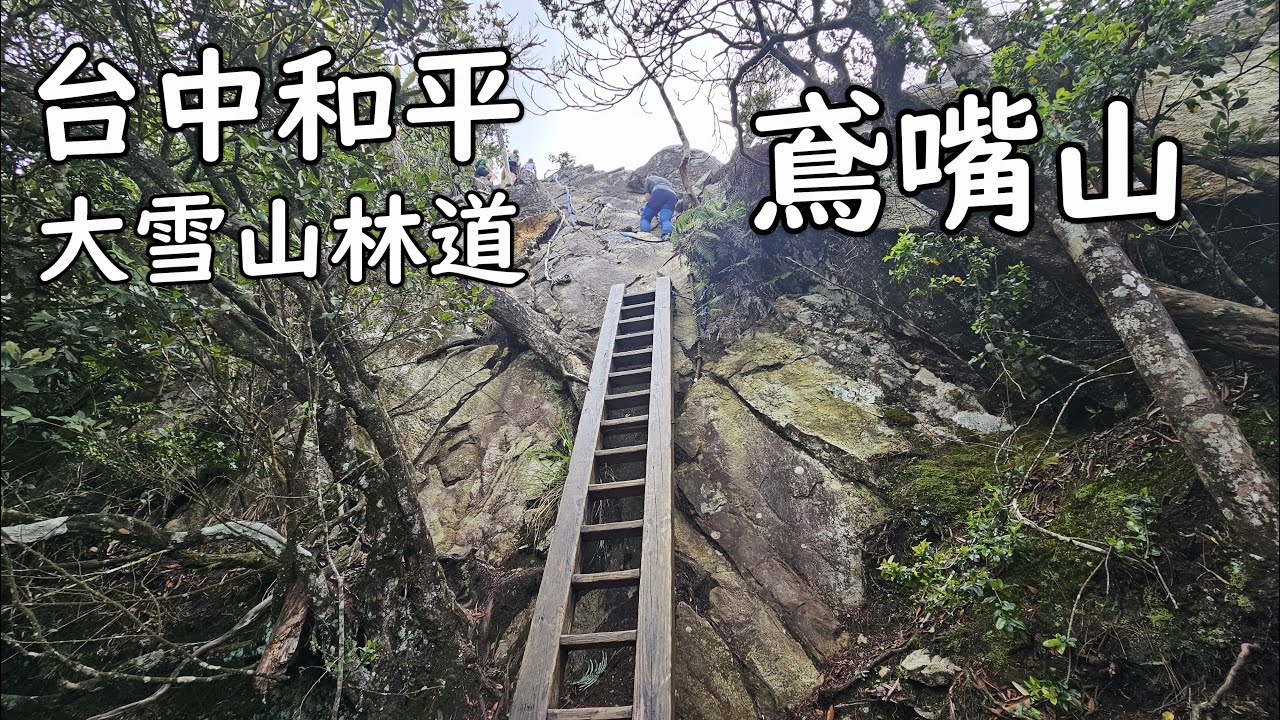 [台中和平] 鳶嘴山｜大雪山林道27K登山口｜危險路段全紀錄